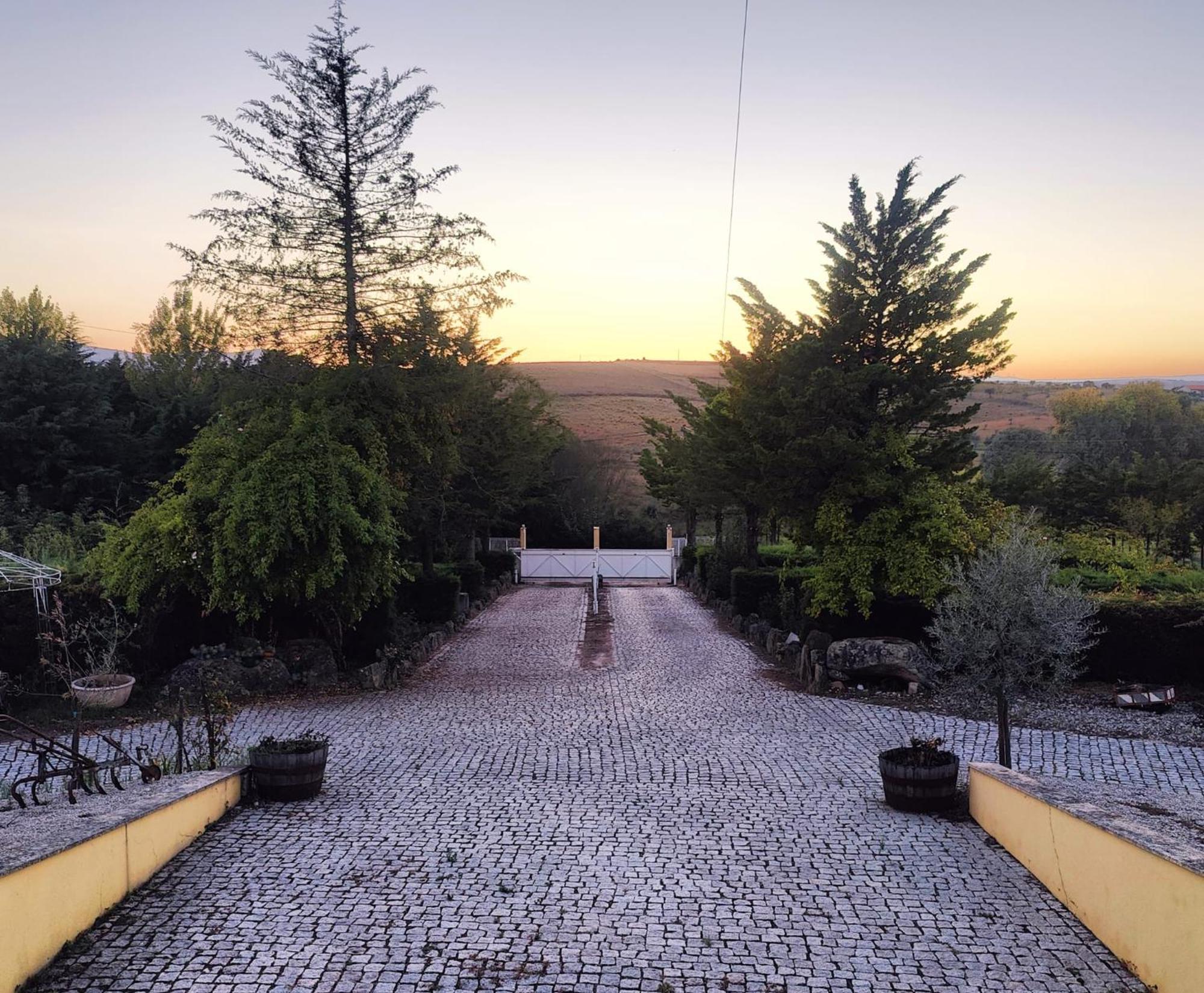 Quinta Da Libelinha Alojamento Local - Μιραντέλα Εξωτερικό φωτογραφία